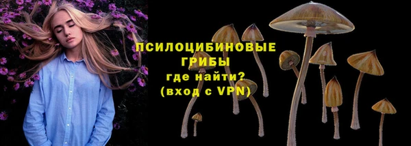 гашик Абдулино