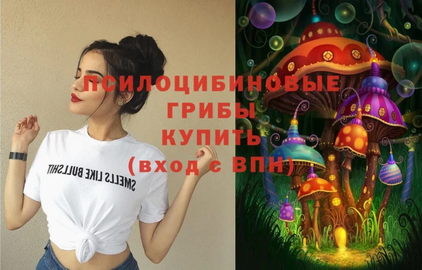 ешки Абаза