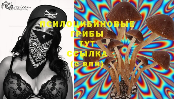 гашик Абдулино