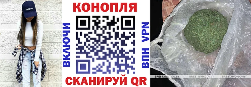 Шишки марихуана Amnesia  Южа 
